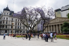2. Square in Buenes Aires