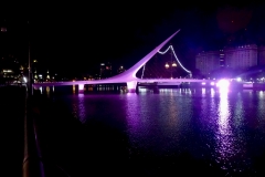 5. Women's Bridge, Buenes Aires
