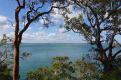 11.-View-on-hike-in-Port-Stephens