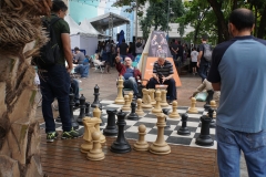 43. Chess in the square