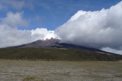 39. Cotopaxi starts to clear after our hike