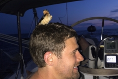 20. Jeff found a friend at sea