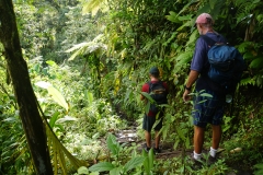 21. Willy and Bob hiking through the rainforest