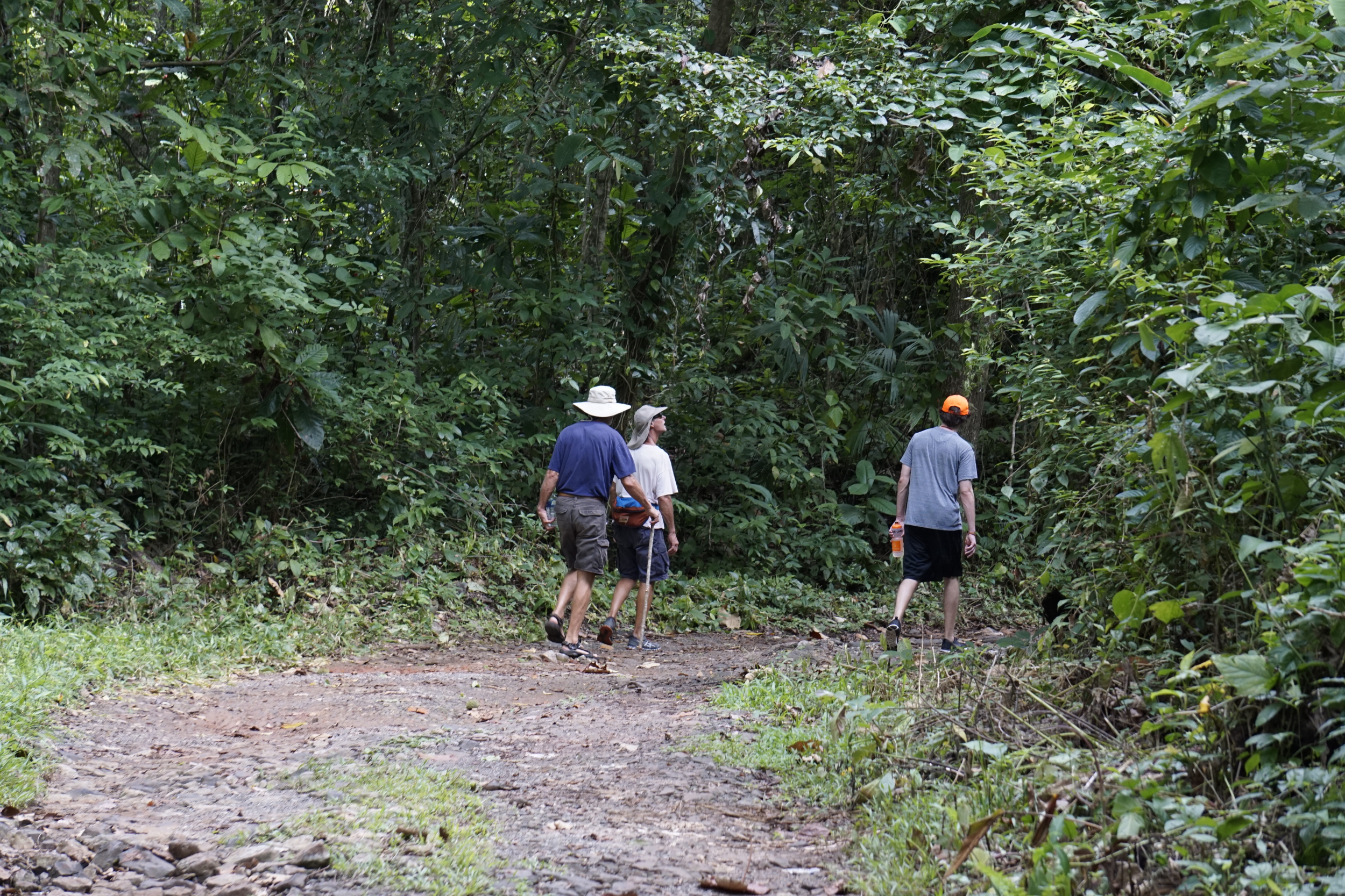 14. Hiking on the Chagres River