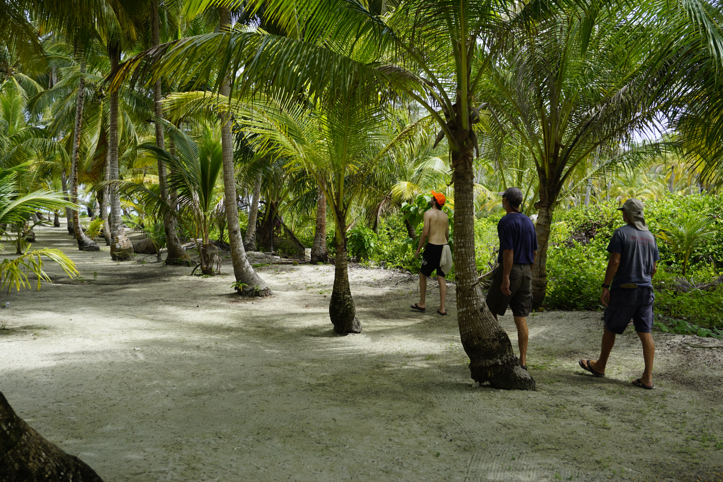 28. Walk around Uchutupu Dummet (Chichime Cay)