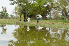 28. Fishing for Paranha