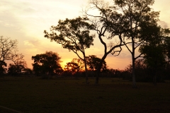 35. Sunset in the Pantanal