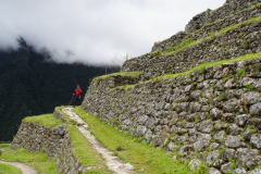23.-Winay-Wayna-Incan-ruins-on-trail