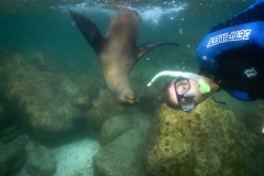 11. Willy is photobombed by a sea lion!