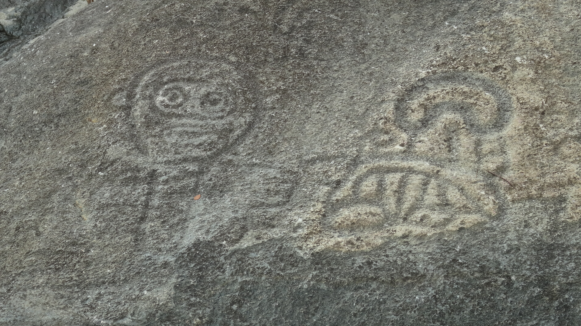63. Petroglyphs carved by Tainos, St John