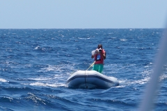 1. Approaching Bequia, a dinghy came flying over the waves towards us