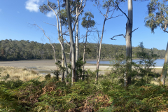6.-Hiking-and-bird-watching-in-Tasmania