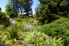 7.-Botanical-Gardens-Hobart