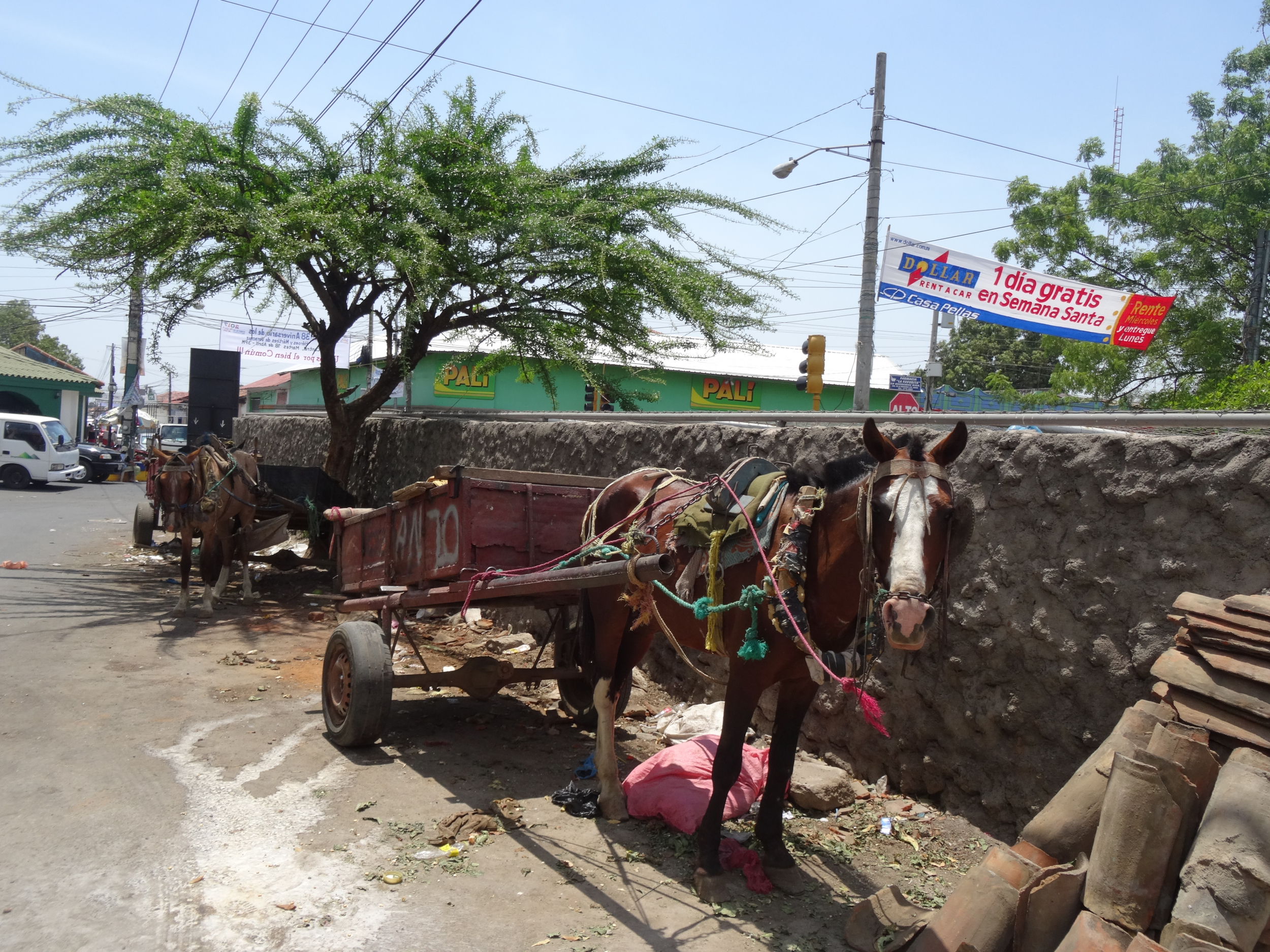 5. Sharing the roads with animals, bikes, cars and pushcarts