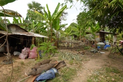 35. Family homestead